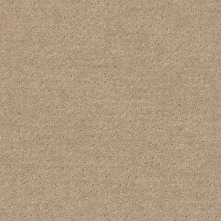 Shaw Floors FOUNDATIONS Alluring Disposition Espresso