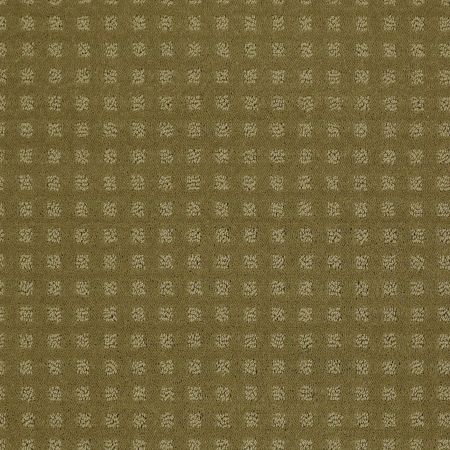 Shaw Floors SHAW FLOORING GALLERY Made To Be Yours Aloe