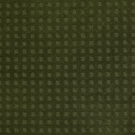 Shaw Floors SHAW FLOORING GALLERY Made To Be Yours Kelly