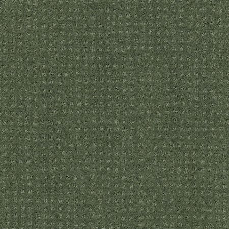 Shaw Floors FOUNDATIONS Alluring Disposition Lush Garden