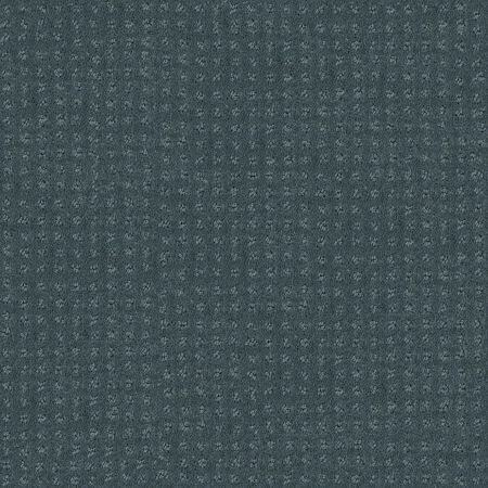 Shaw Floors FOUNDATIONS Alluring Disposition Oceanside