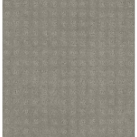 Shaw Floors FOUNDATIONS Alluring Disposition Slate