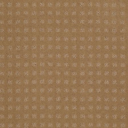 Shaw Floors SHAW FLOORING GALLERY Made To Be Yours Field Stone