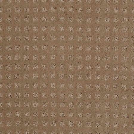 Shaw Floors SHAW FLOORING GALLERY Made To Be Yours Perfect Beige