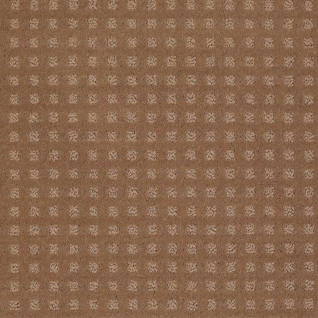 Shaw Floors SHAW FLOORING GALLERY Made To Be Yours Townhouse Taupe