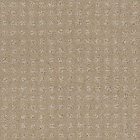 Shaw Floors FOUNDATIONS Alluring Disposition Safari