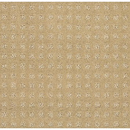 Shaw Floors FOUNDATIONS Alluring Disposition Warmth