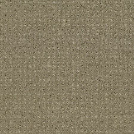 Shaw Floors FOUNDATIONS Alluring Disposition Mocha