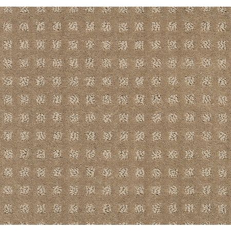 Shaw Floors FOUNDATIONS Alluring Disposition Grounded