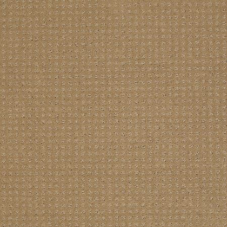 Shaw Floors Enduring Comfort Pattern Cologne Mist