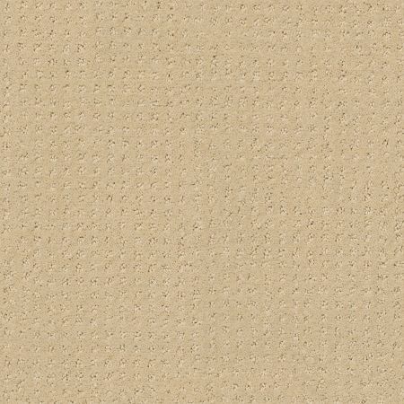 Shaw Floors FOUNDATIONS Perpetual Move Shoreline