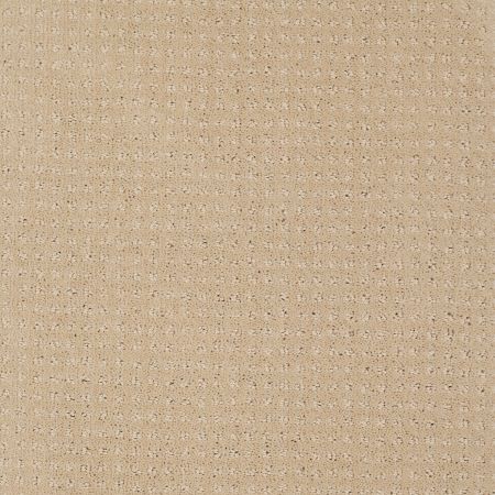 Shaw Floors Enduring Comfort Pattern Mesa