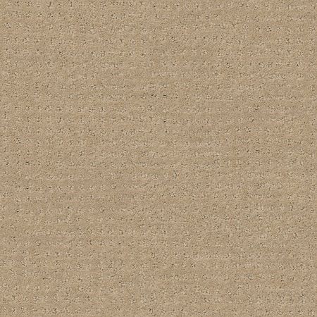 Shaw Floors SFA My Inspiration Pattern Latté