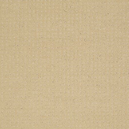 Shaw Floors Enduring Comfort Pattern Chamois