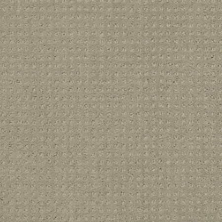 Shaw Floors FOUNDATIONS Perpetual Move Lady In Gray