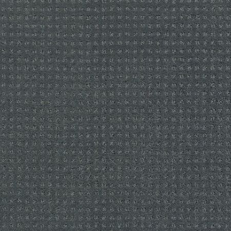 Shaw Floors FOUNDATIONS Perpetual Move Night Club