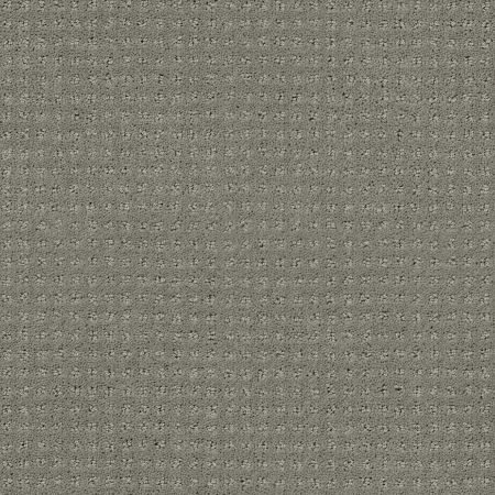 Shaw Floors FOUNDATIONS Perpetual Move Slate