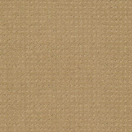 Shaw Floors SFA My Inspiration Pattern Honey Pot