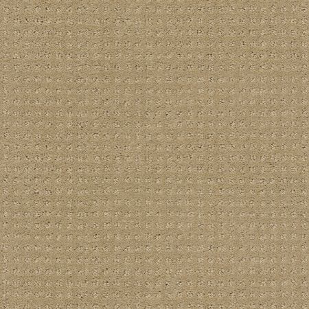 Shaw Floors Enduring Comfort Pattern Clay Stone