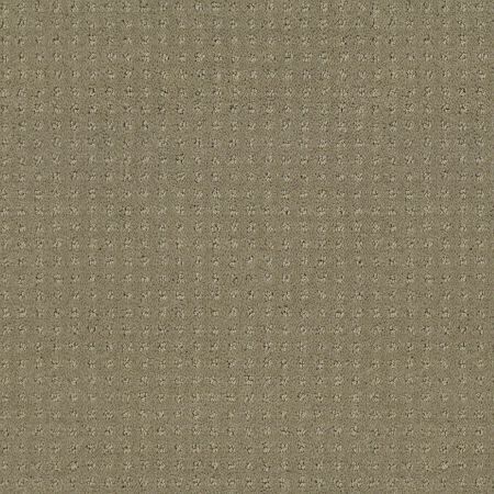 Shaw Floors FOUNDATIONS Perpetual Move Mocha