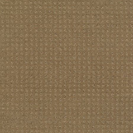 Shaw Floors SFA My Inspiration Pattern Cappuccino