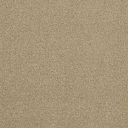 Philadelphia Commercial Baytowne III 30 Biscotti