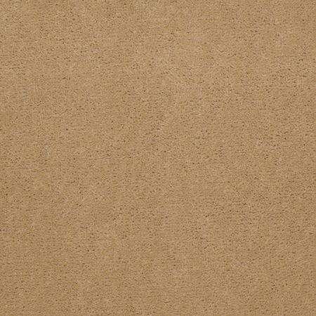 Philadelphia Commercial Baytowne III 30 Camel