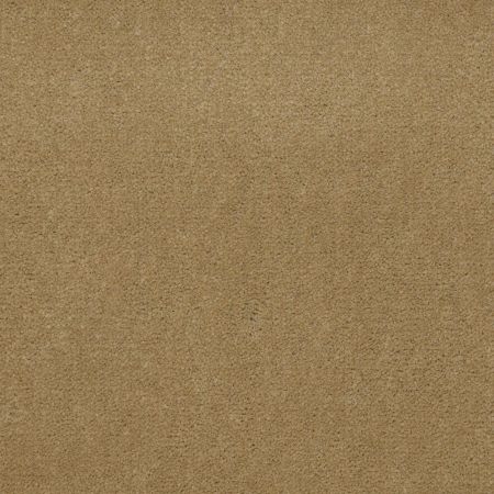 Philadelphia Commercial Baytowne III 30 Tuscan Gold