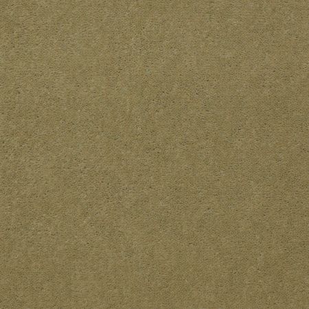 Philadelphia Commercial Baytowne III 30 French Olive