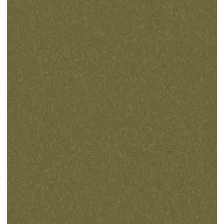 Philadelphia Commercial Emphatic 36 Beach Retreat