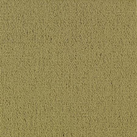 Philadelphia Commercial Color Accents Herbal