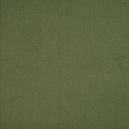 Philadelphia Commercial Color Accents Cactus