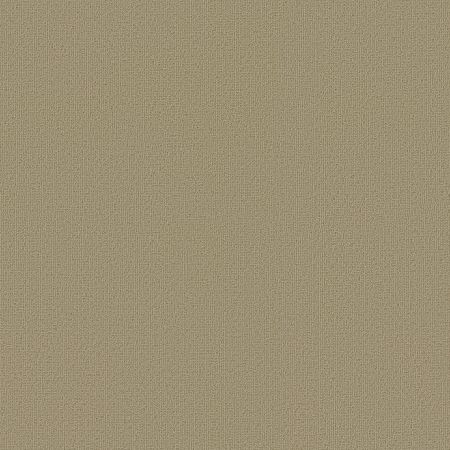 Philadelphia Commercial Color Accents Lichen