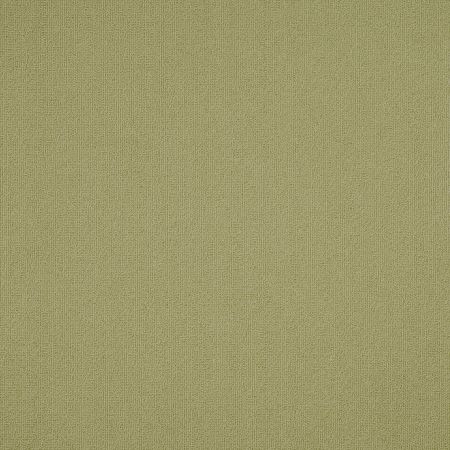 Philadelphia Commercial Color Accents Fescue