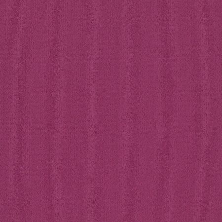 Philadelphia Commercial Color Accents Calypso