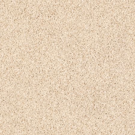 Shaw Floors SHAW FLOORING GALLERY Woodsboro Putty