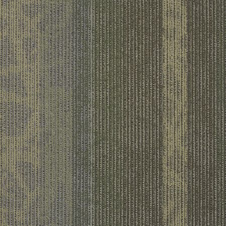 Philadelphia Commercial INTERFERENCE COLLECTION Static Signal