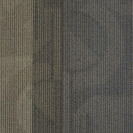 Philadelphia Commercial INTERFERENCE COLLECTION Feedback Circuit