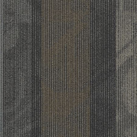 Philadelphia Commercial INTERFERENCE COLLECTION Feedback Velocity