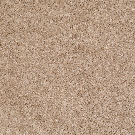 Shaw Floors SHAW FLOORING GALLERY Colesville 12' Macaroon