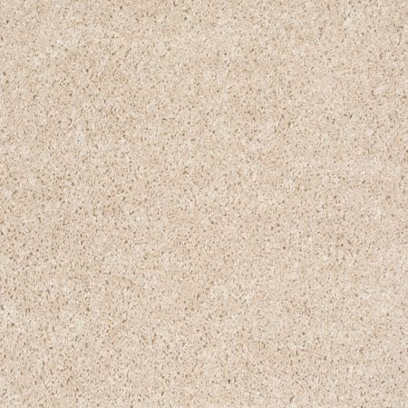 Shaw Floors SHAW FLOORING GALLERY Colesville 12' Sand Dollar