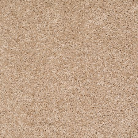 Shaw Floors SHAW FLOORING GALLERY Colesville 12' Quiet Splendor