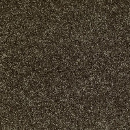 Shaw Floors SHAW FLOORING GALLERY Colesville 12' Central Park