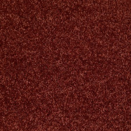 Shaw Floors SHAW FLOORING GALLERY Colesville 12' Sienna