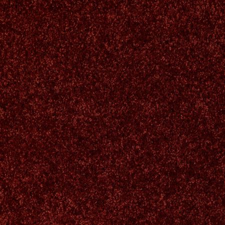 Shaw Floors SHAW FLOORING GALLERY Colesville 12' Cayenne