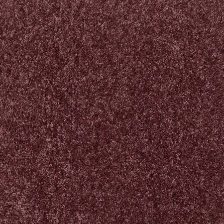 Shaw Floors SHAW FLOORING GALLERY Colesville 12' Amethyst Sky