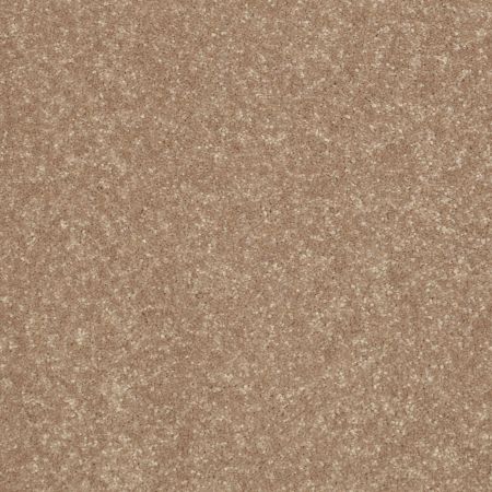 Shaw Floors SHAW FLOORING GALLERY Union City Ii 15' Tassel