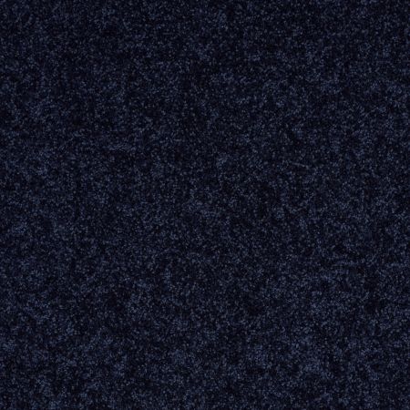 Shaw Floors Full Court 15' Evening Sky