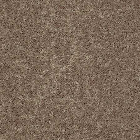 Shaw Floors Full Court 15' Hearth Stone