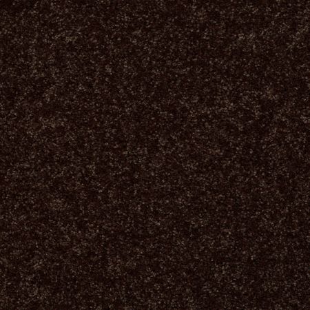 Shaw Floors SFA Take Part 15' Fig